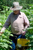 Polar Vest Fishing 0 Staying Cool